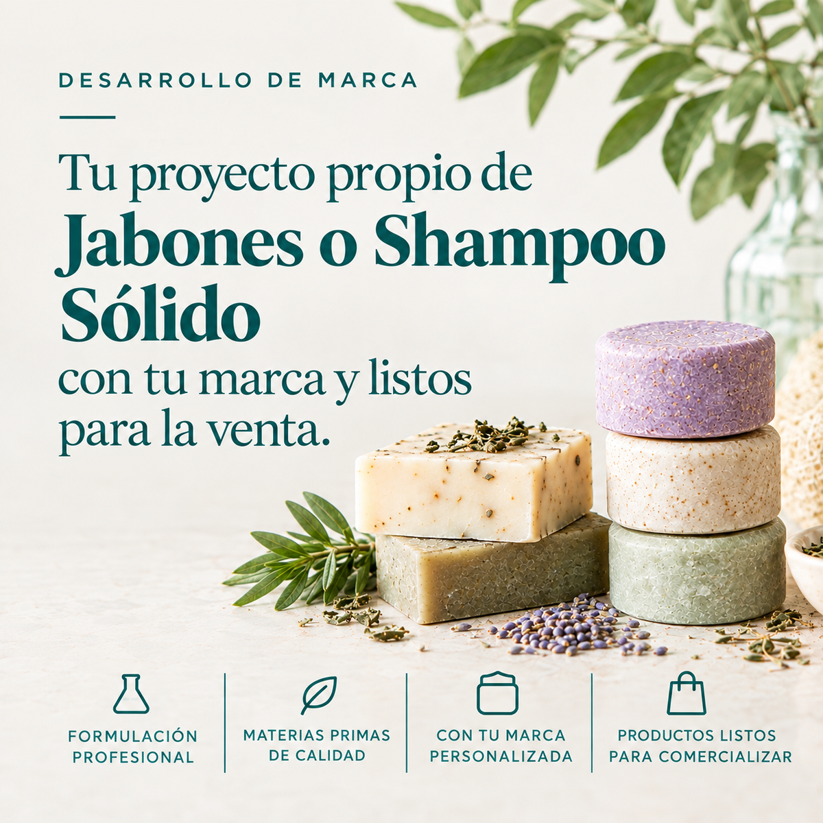 Evaluación técnica inicial para crear tu propia marca de jabones y shampoo sólido de alto estándar con notificación ISP en Chile